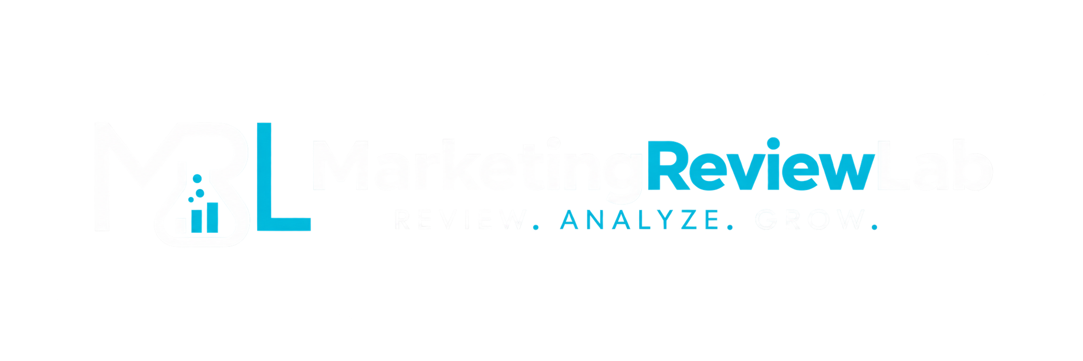 marketing review lab